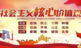 诏安媒体爆料案件视频最新,最新案件视频引发社会关注