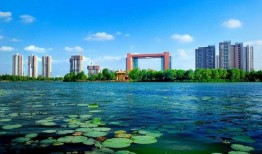 临沂公园爆料视频,揭秘公园里的惊人秘密