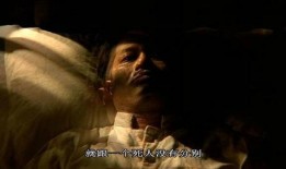 晚娘1在线观看,复仇与救赎的交织