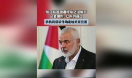 以色列记者爆料新闻,揭秘重大新闻事件内幕