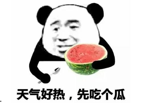 吃瓜表情啥意思是什么,网络热词背后的文化内涵