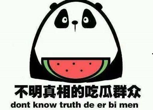吃瓜娱乐图片高清壁纸,高清壁纸中的吃瓜娱乐瞬间